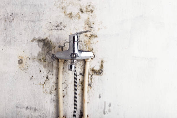 Best Home Mold Removal  in Leesburg, GA