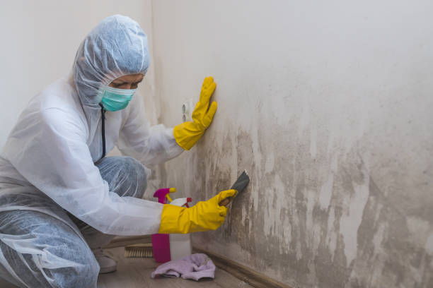 Best Certified Mold Removal  in Leesburg, GA