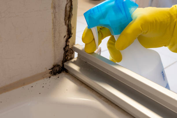 Best Residential Mold Removal  in Leesburg, GA